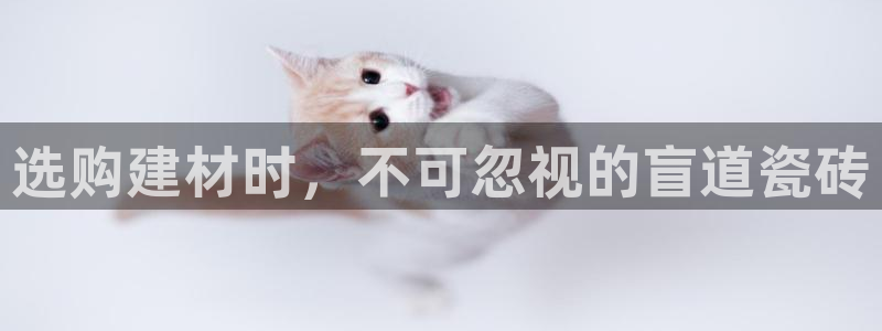 杏鑫平台是黑平台吗知乎