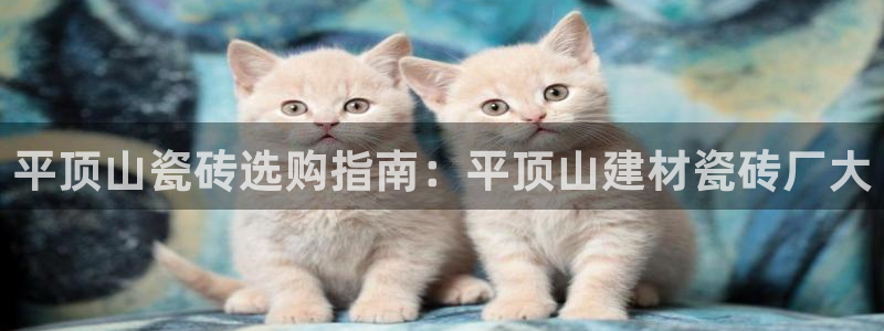 杏鑫平台怎么样黑钱吗是真的吗知乎