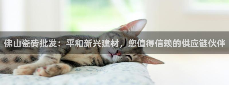 杏鑫代理注册平台