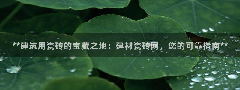 杏鑫娱乐是真的吗还是假的