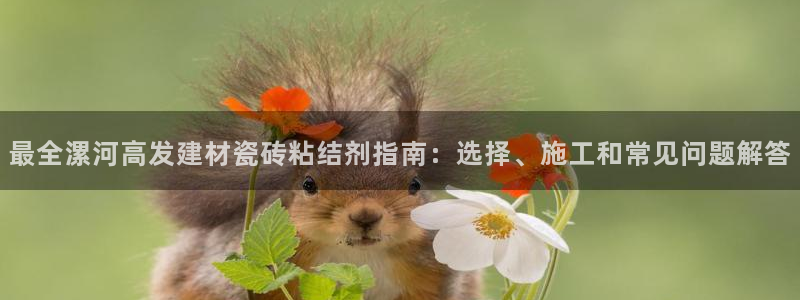 杏鑫代理注册登录