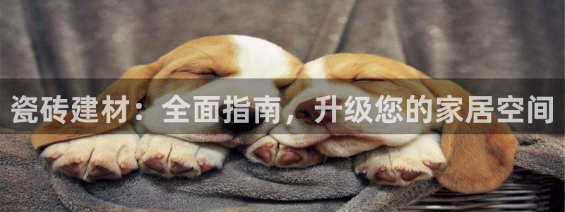 杏鑫平台招商怎么样可靠吗