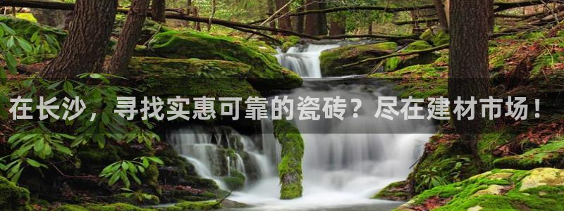 杏鑫平台代理注册要钱吗