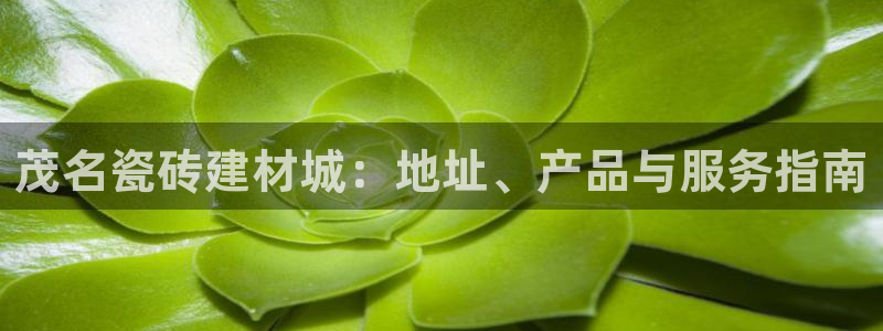 杏鑫官网最新信息