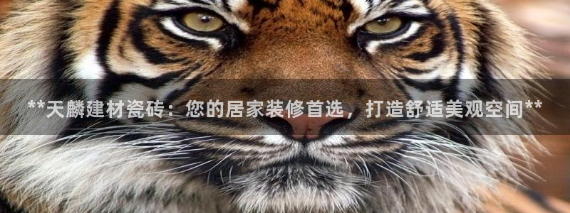 杏鑫平台怎么样黑钱吗安全吗可靠吗