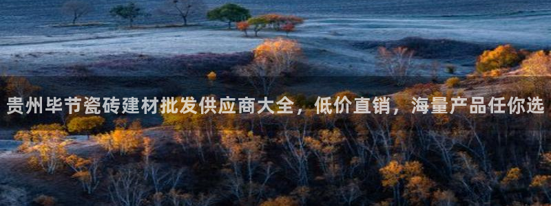 杏鑫平台是黑平台吗是真的吗