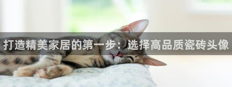 杏鑫娱乐平台测速怎么样