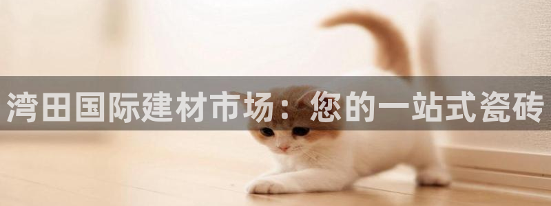 杏鑫平台野马联盟怎么样