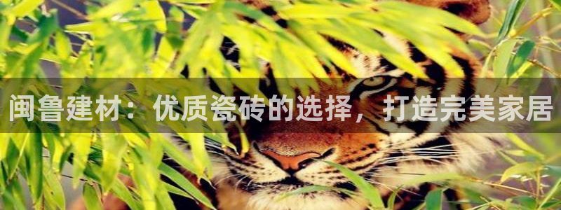 杏鑫平台代理