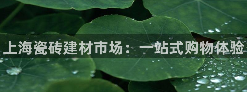 杏鑫平台注册登录