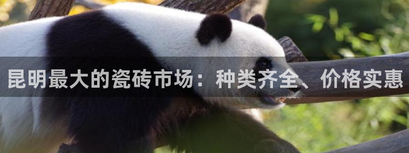 杏鑫平台广7O777