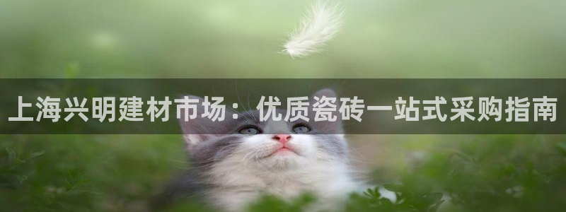 杏鑫平台平台