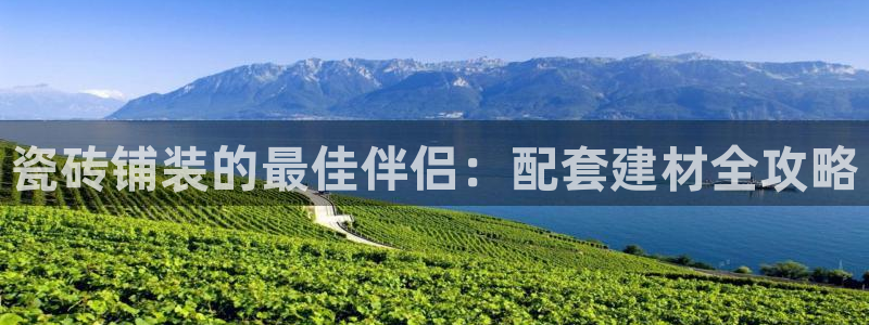 杏鑫娱乐怎么样