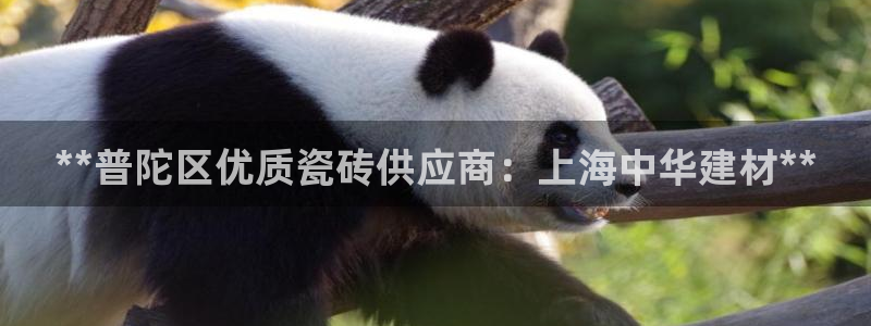 杏鑫官网最新信息新闻