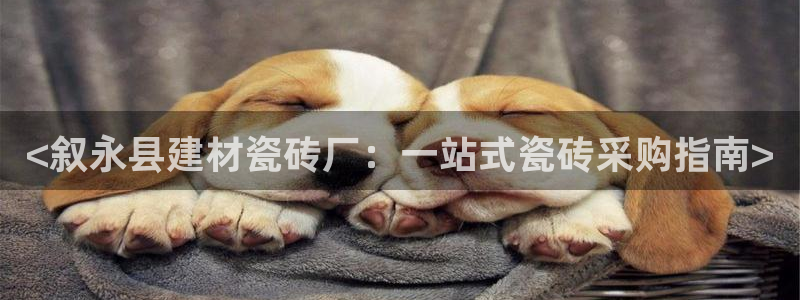 杏鑫平台提供
