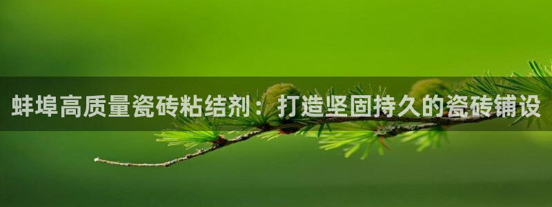 杏鑫平台注册地址