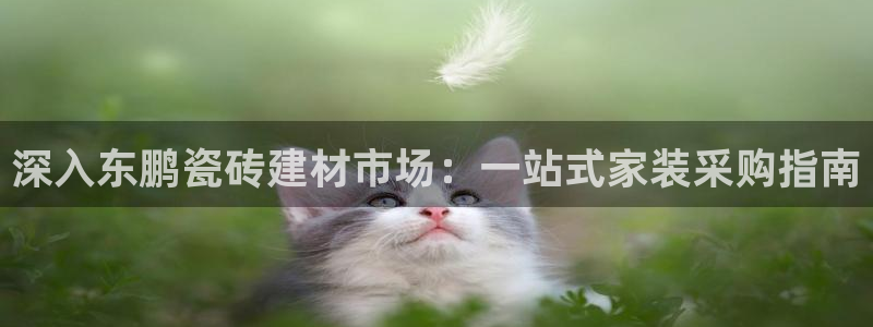 杏鑫测速注册