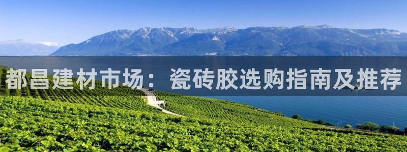 杏鑫注册登录平台是什么