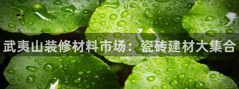杏鑫平台招商电话
