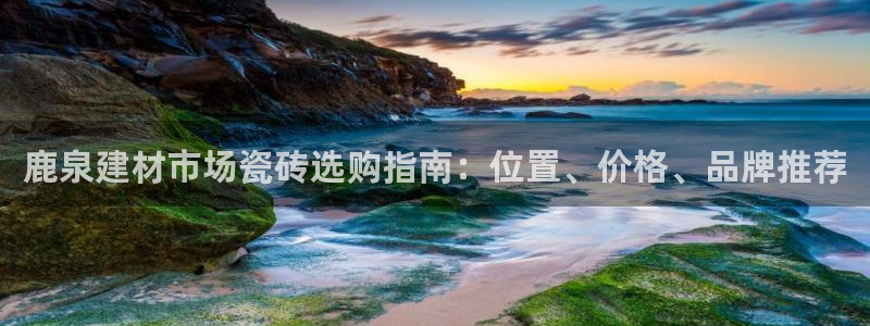 杏鑫平台官方网站