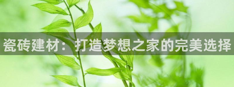 杏鑫平台登录注册