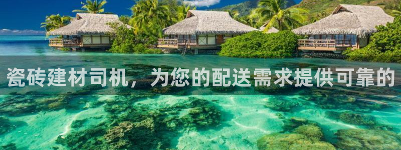 杏鑫官方平台怎么样啊