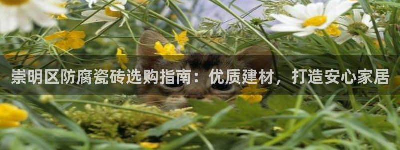 杏鑫注册登录平台
