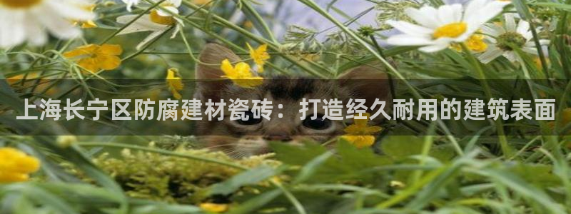 杏鑫平台怎么样黑钱吗是真的吗还是假的