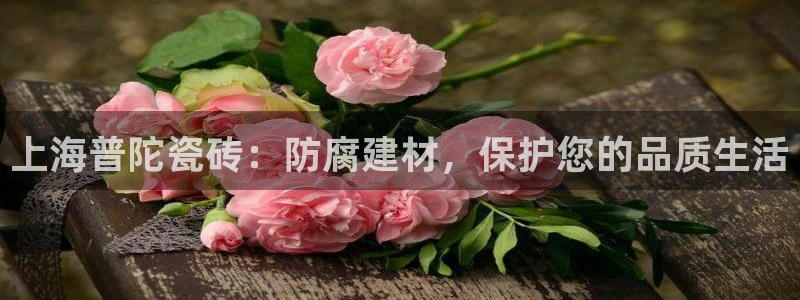 杏鑫平台测速