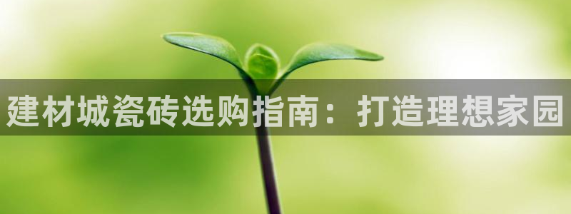 杏鑫平台招商电话是多少