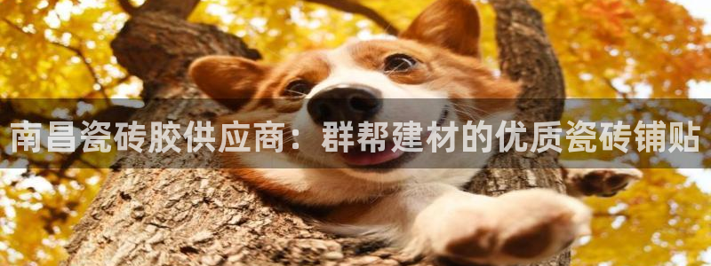 杏鑫平台怎么样