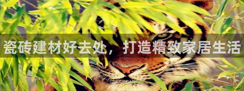 杏鑫登录注册