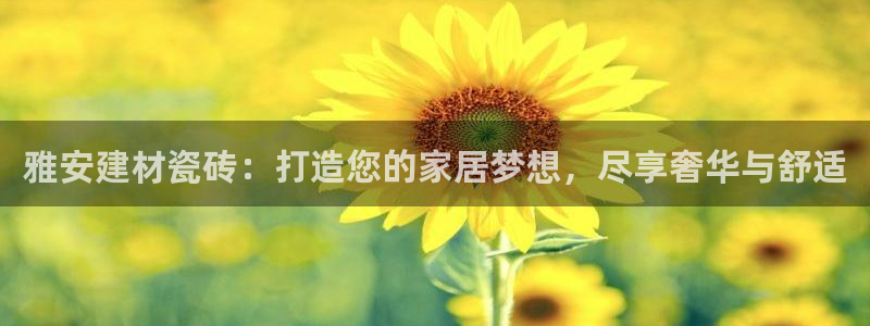 杏鑫平台代理
