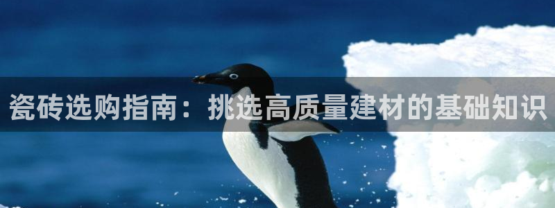 杏鑫平台代理怎么样可靠吗