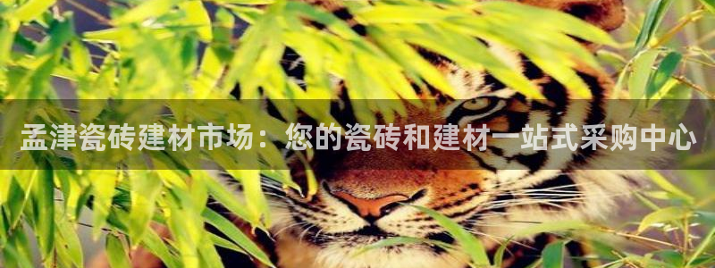 杏鑫平台怎么样黑钱吗知乎推荐