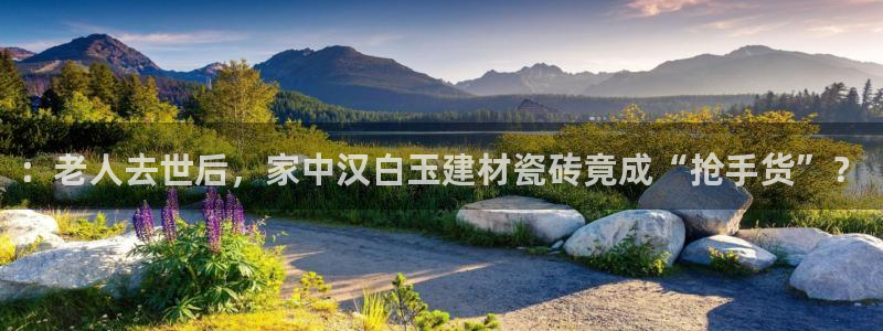 杏鑫有亏损返点吗