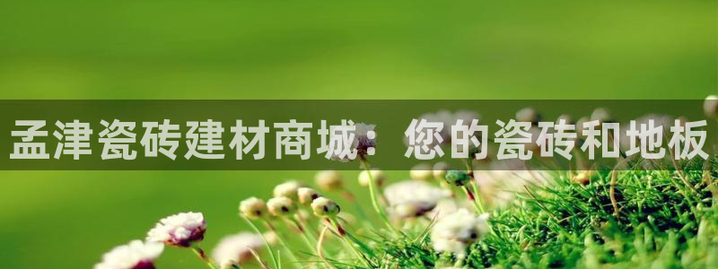 杏鑫官方平台怎么样啊知乎