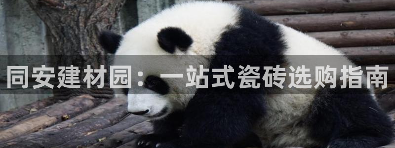 杏鑫平台官方网站