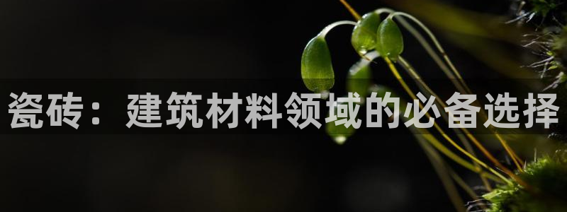 杏鑫平台怎么样黑钱吗安全吗可靠吗