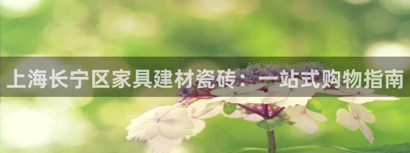 杏鑫3主管