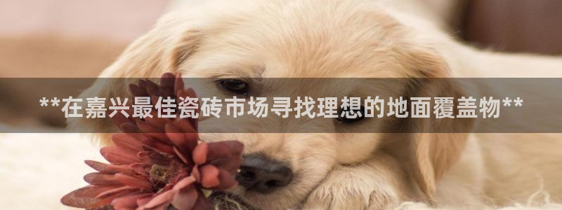 杏鑫平台怎么样黑钱吗是真的吗还是假的