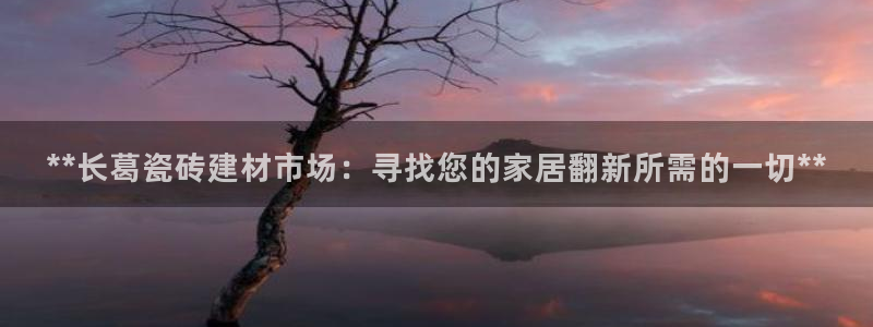 杏鑫手机客户端