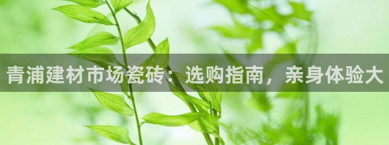 杏鑫平台平台娱乐