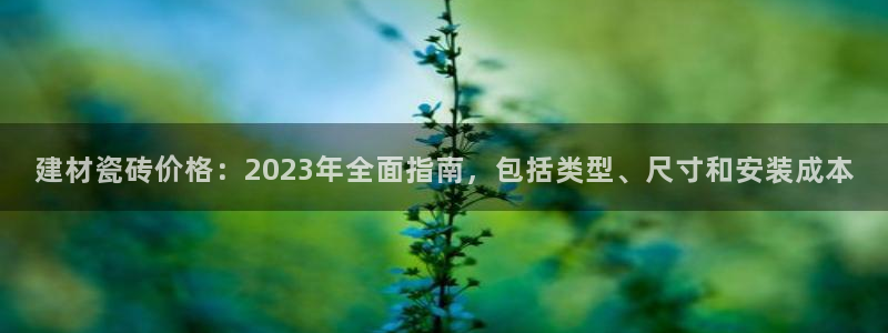 杏鑫娱乐负责人