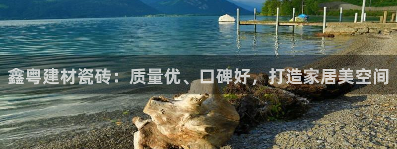 杏鑫官方app代理
