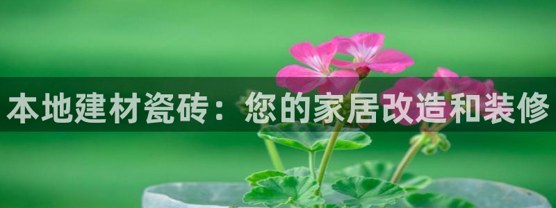 杏鑫娱乐开发团队
