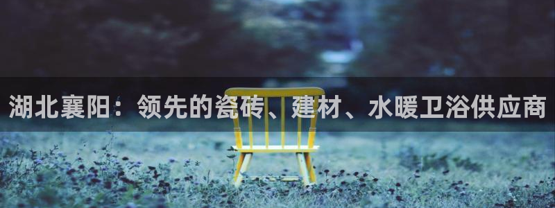 杏鑫主管