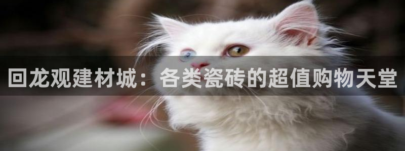 杏鑫平台怎么样黑钱吗安全吗可靠吗