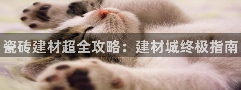 杏鑫平台直属哪个公司