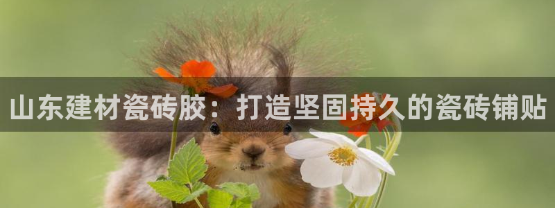 杏鑫娱乐官网下载